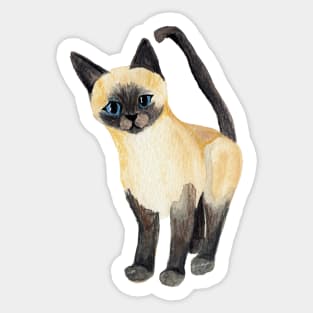 Saucy Siamese Kitten Sticker